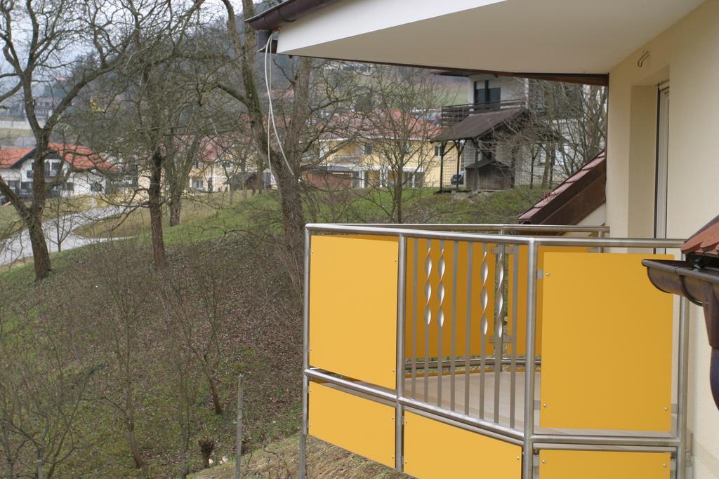 Apartments Veno Lasko Luaran gambar